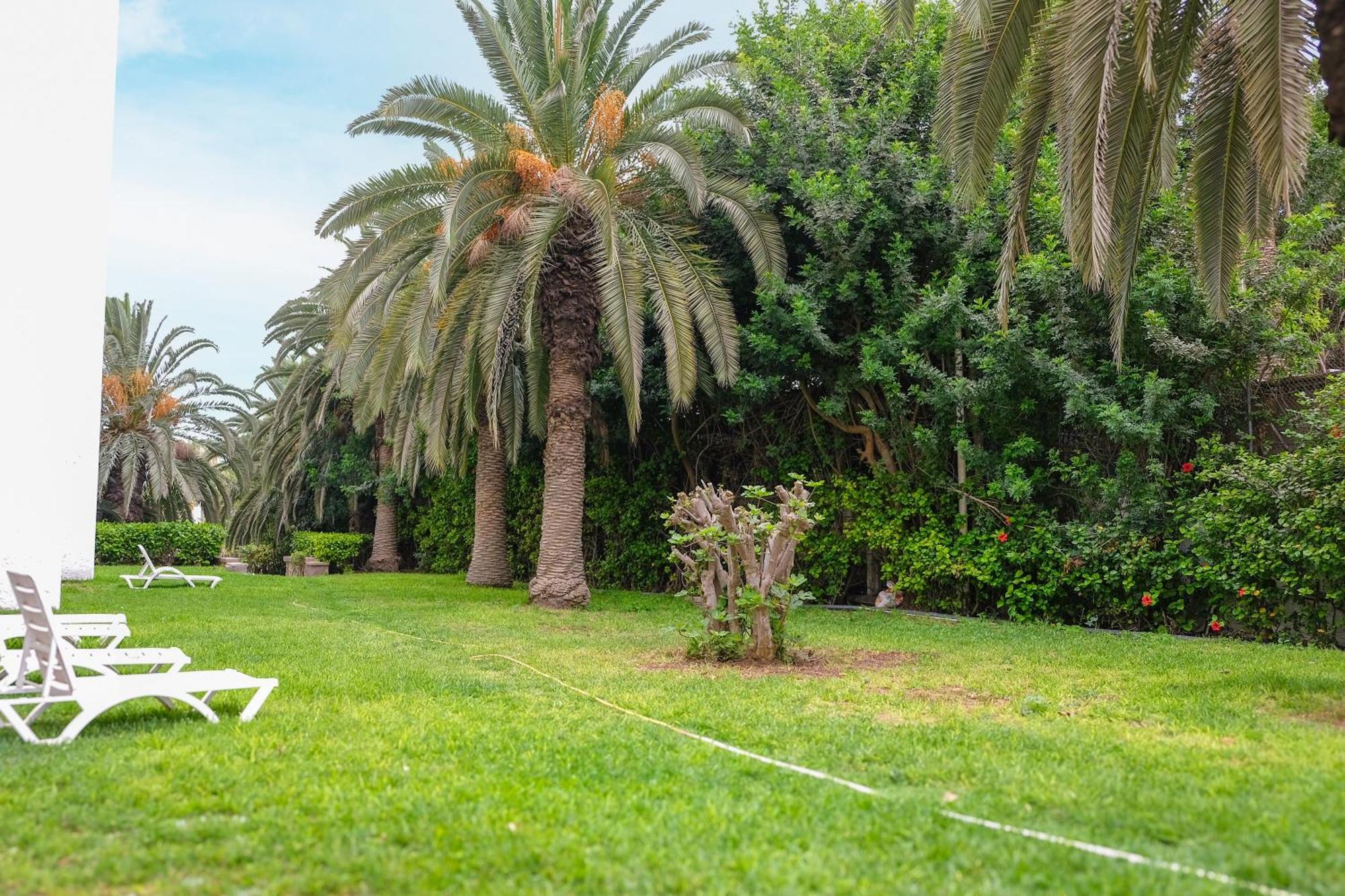 Hamilton Agadir Hotel Exterior foto